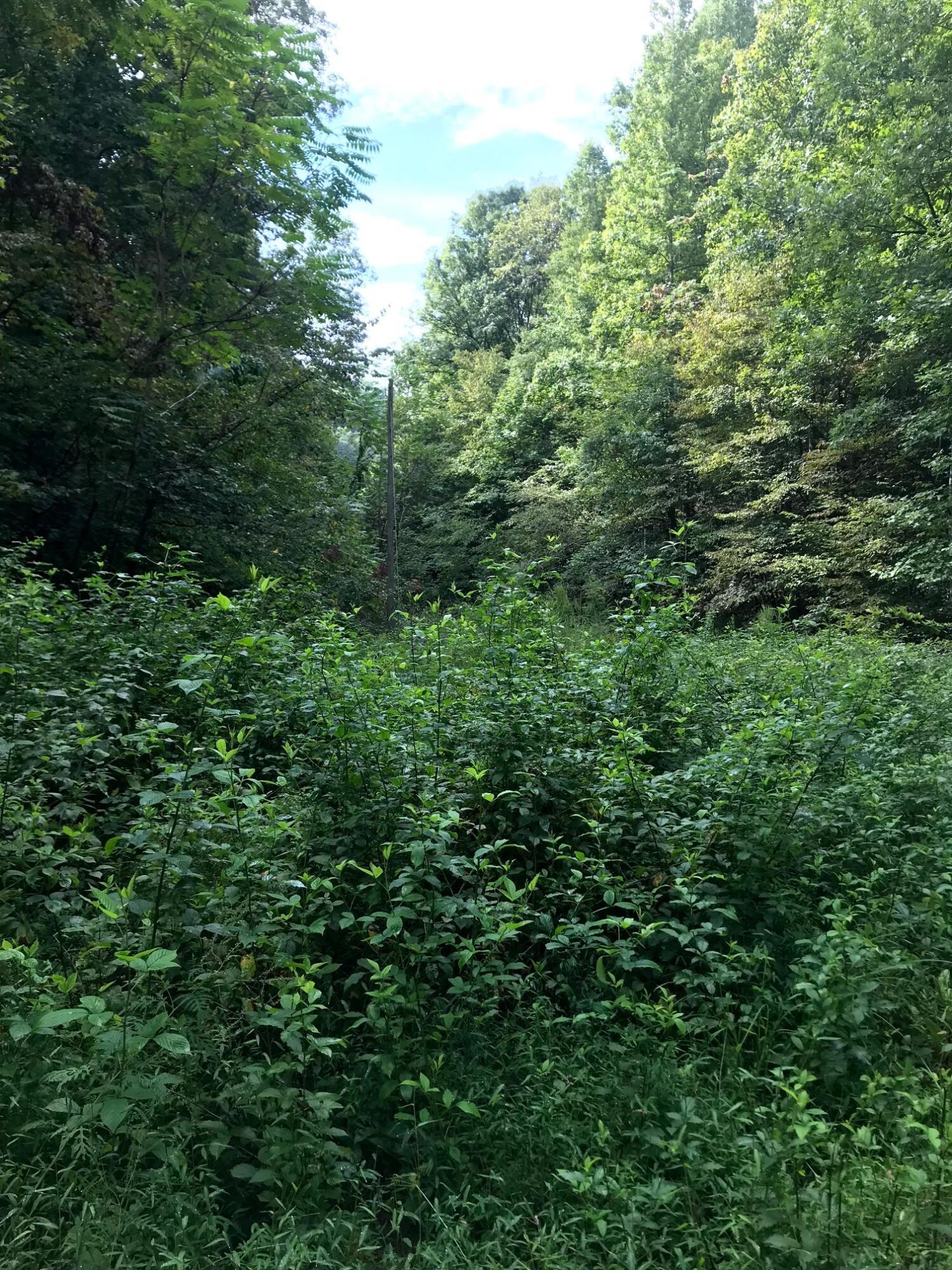 Image 3: image2