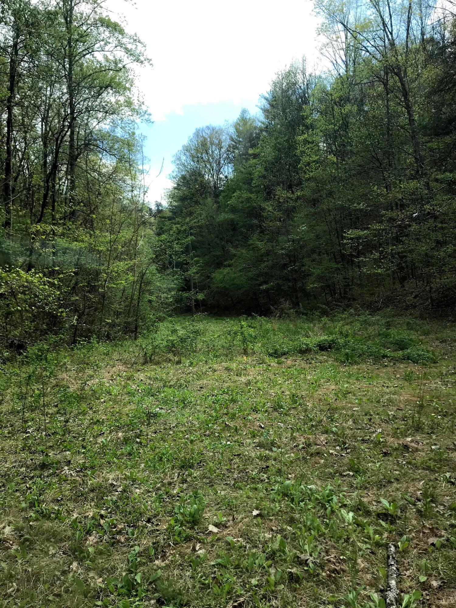 Image 4: image4