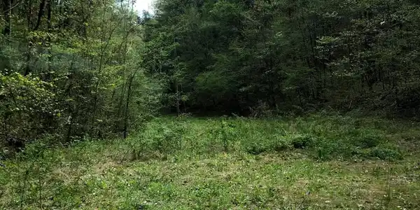 Image 4: image4