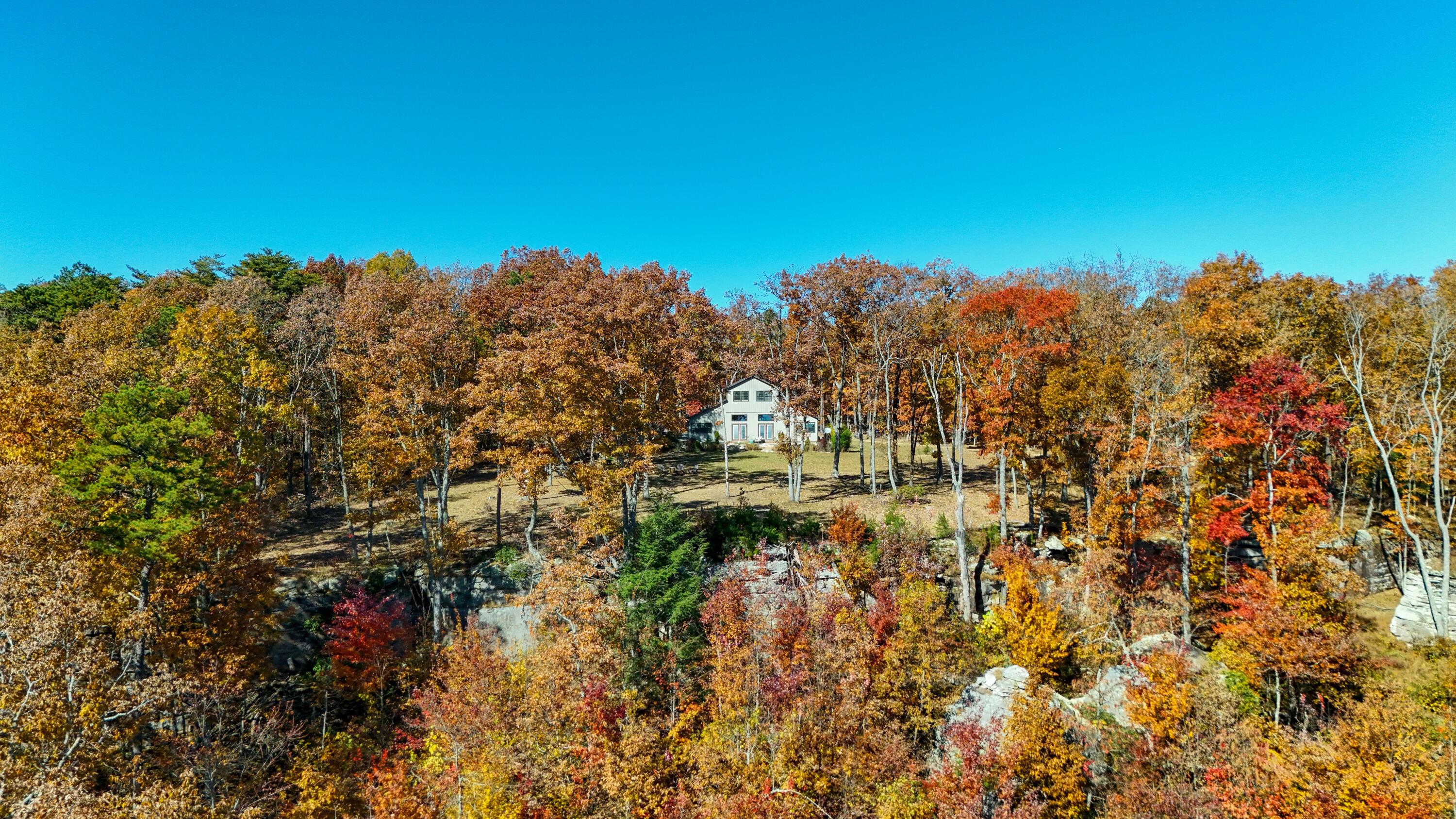 Image 2: MapleDrone-6