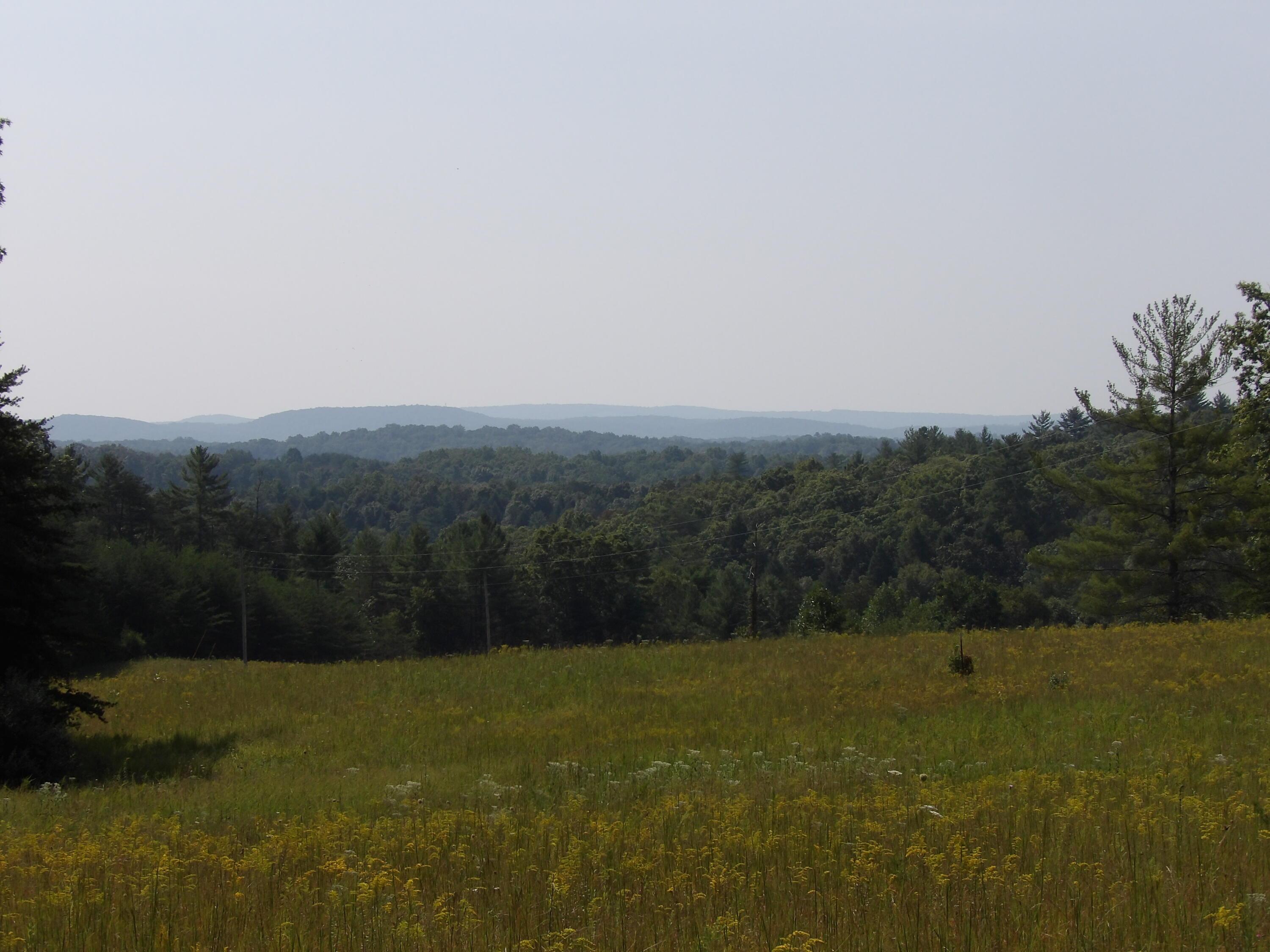 Image 1: 100_0768