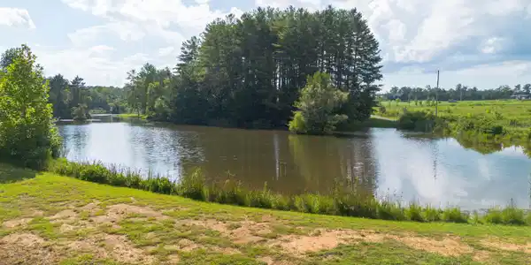 Image 3: Dunlap Land-33
