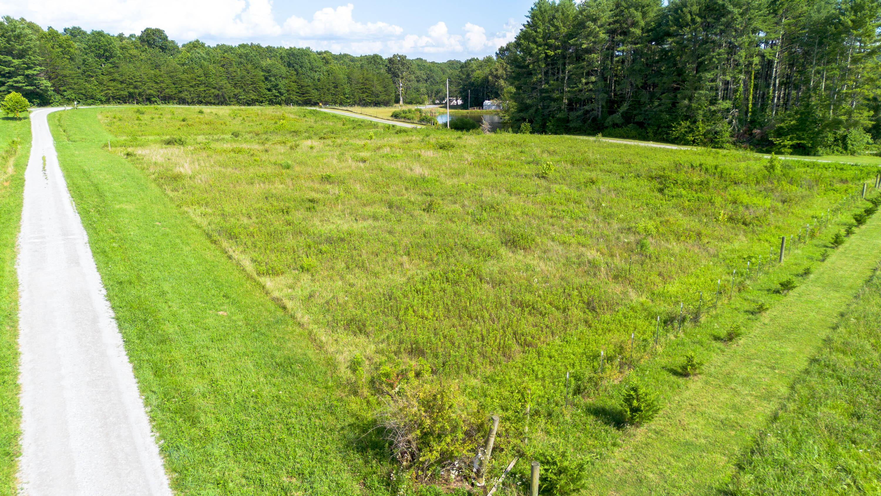 Image 4: Dunlap Land-36