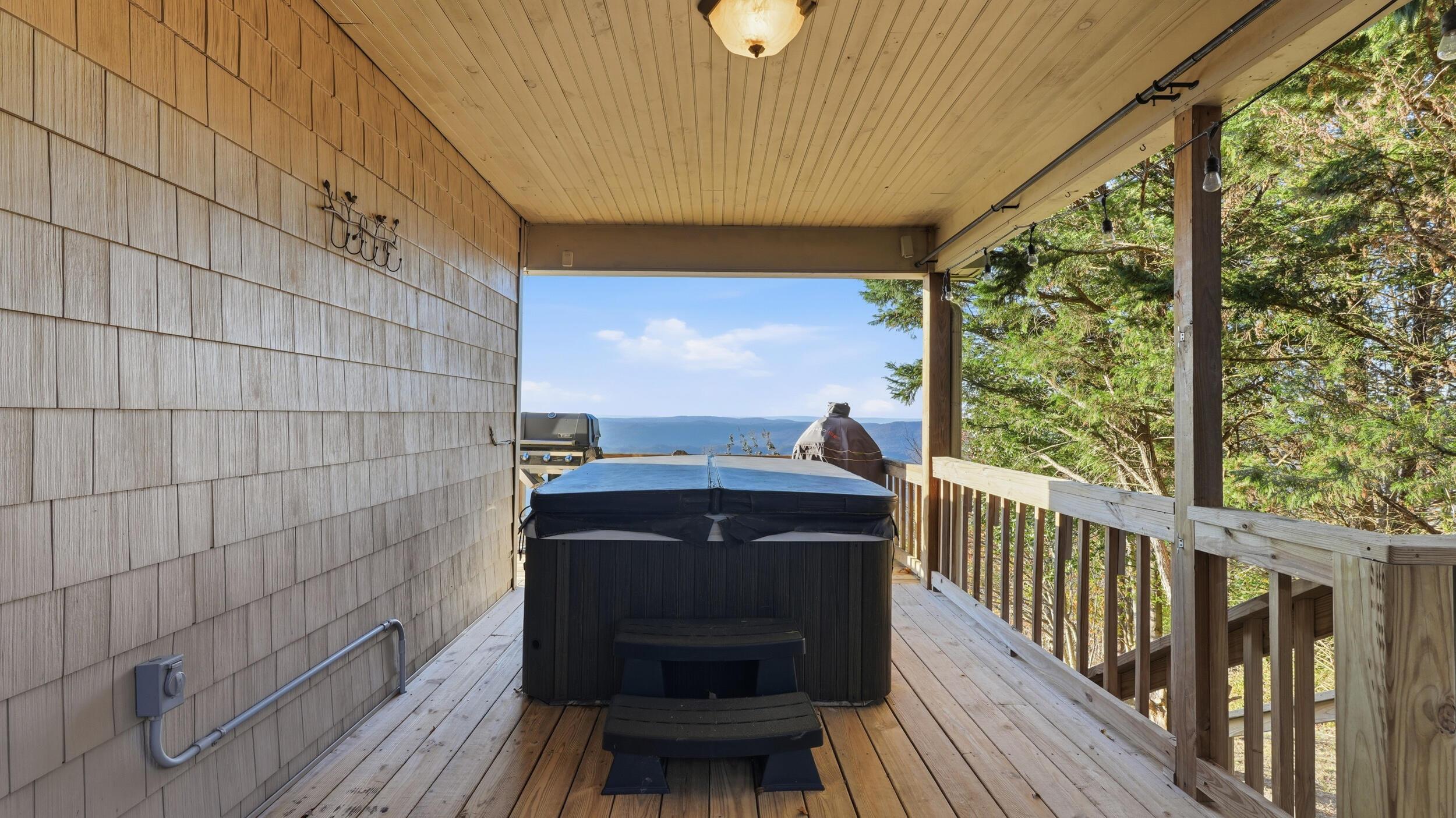 Image 4: 47_141 brow lake rd-44