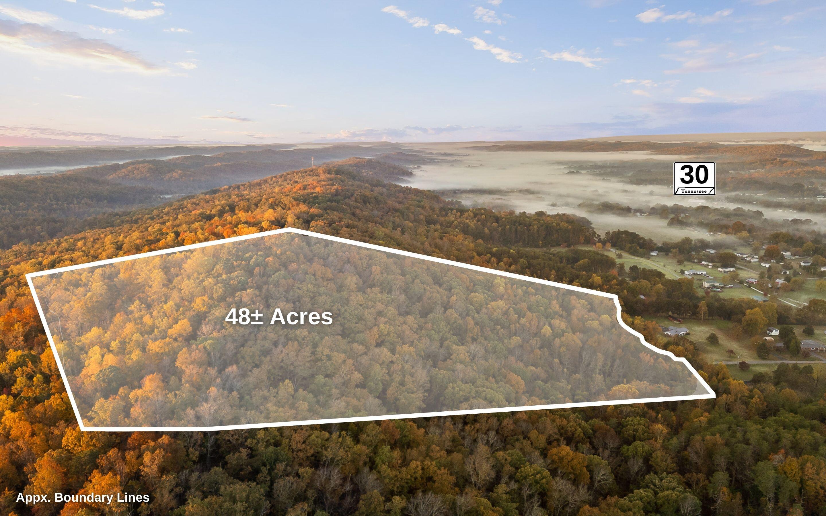 Image 2: 48 Wooded Acres