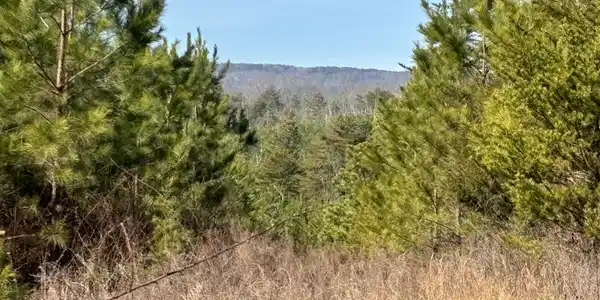 0 Vaughn Mill Road