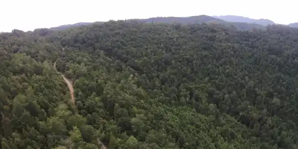 Image 4: Aerial View4