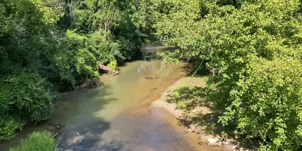 Image 4: 017_dji_0680