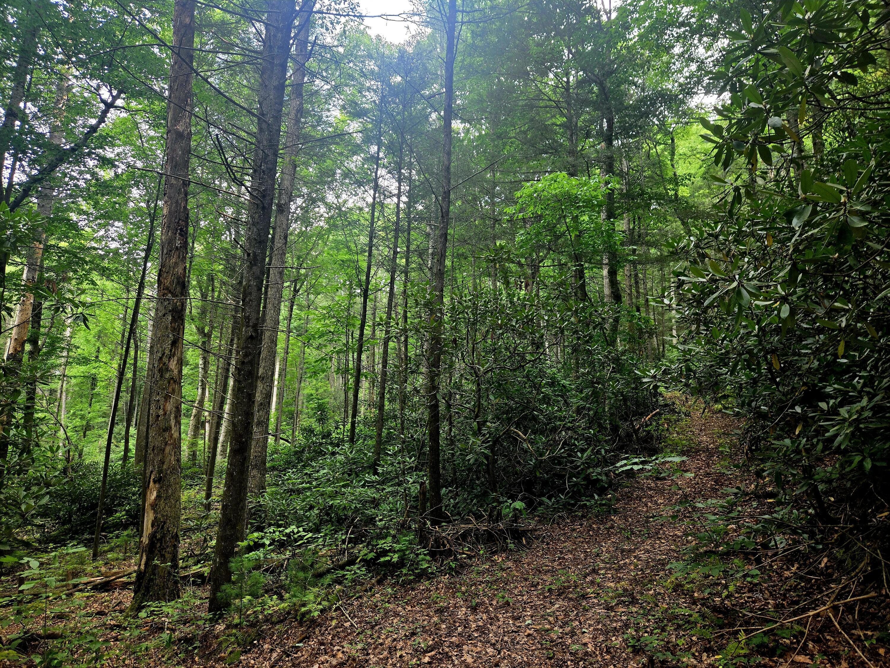 Image 2: 20240802_112333