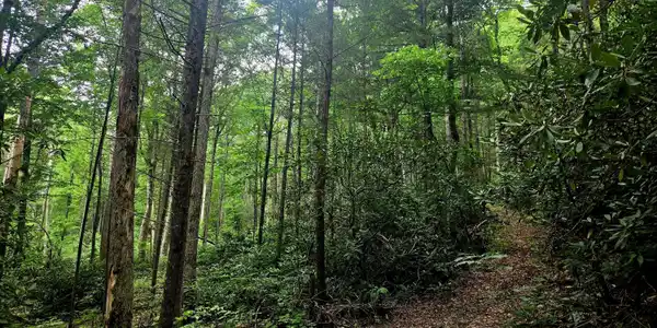 Image 2: 20240802_112333