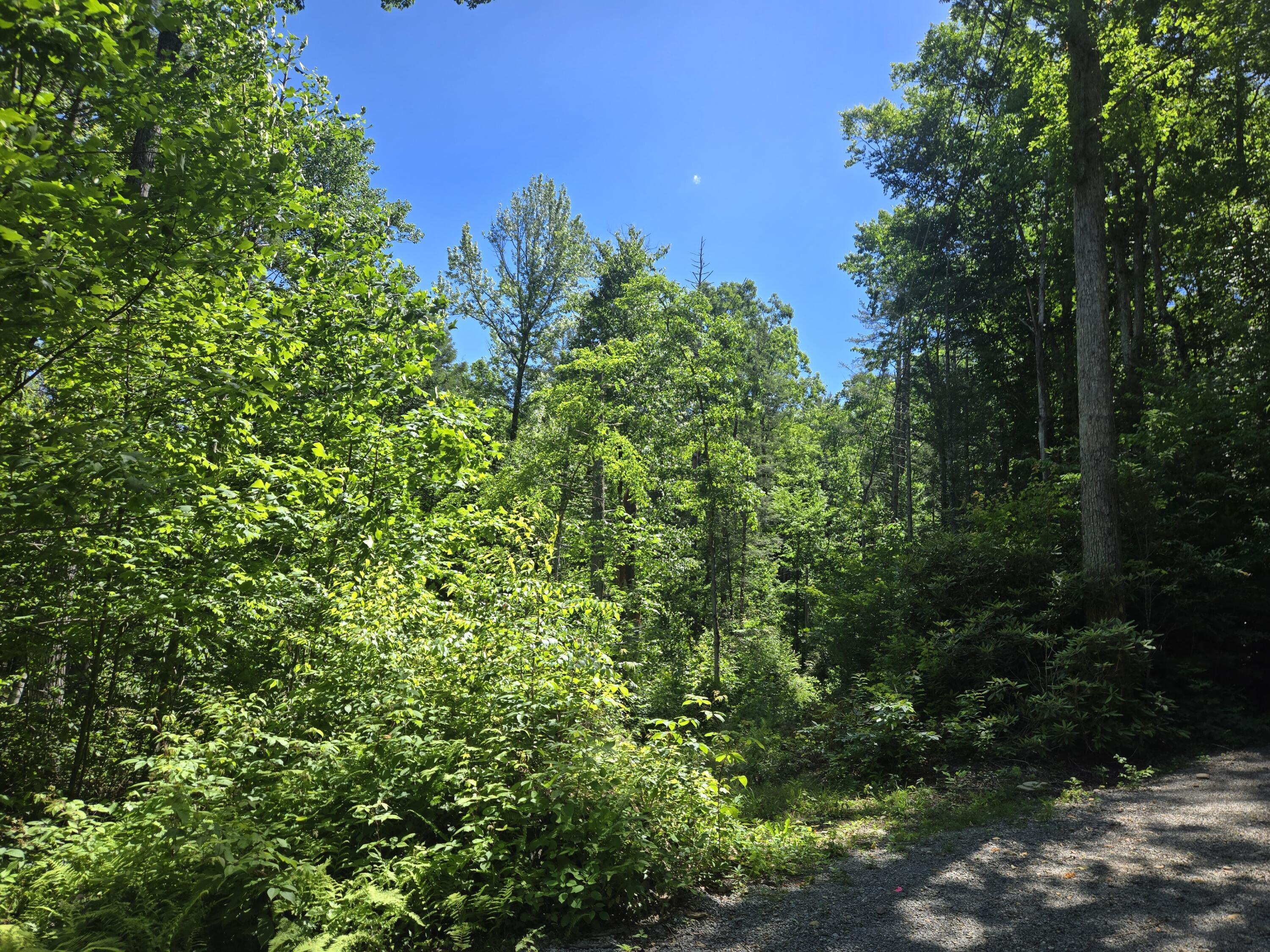 Image 3: 20240607_114524