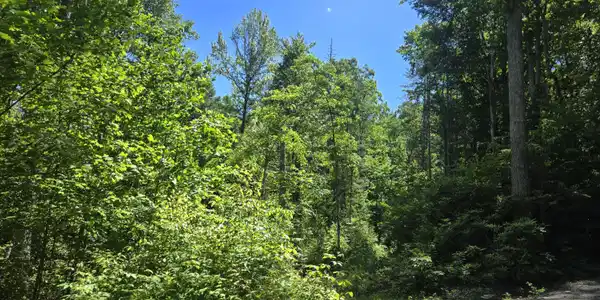 Image 3: 20240607_114524