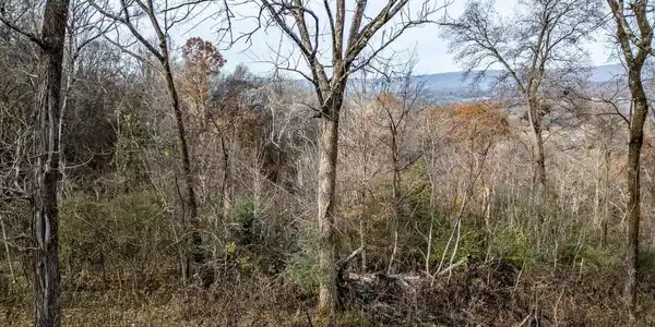 6499 Fairview Road
