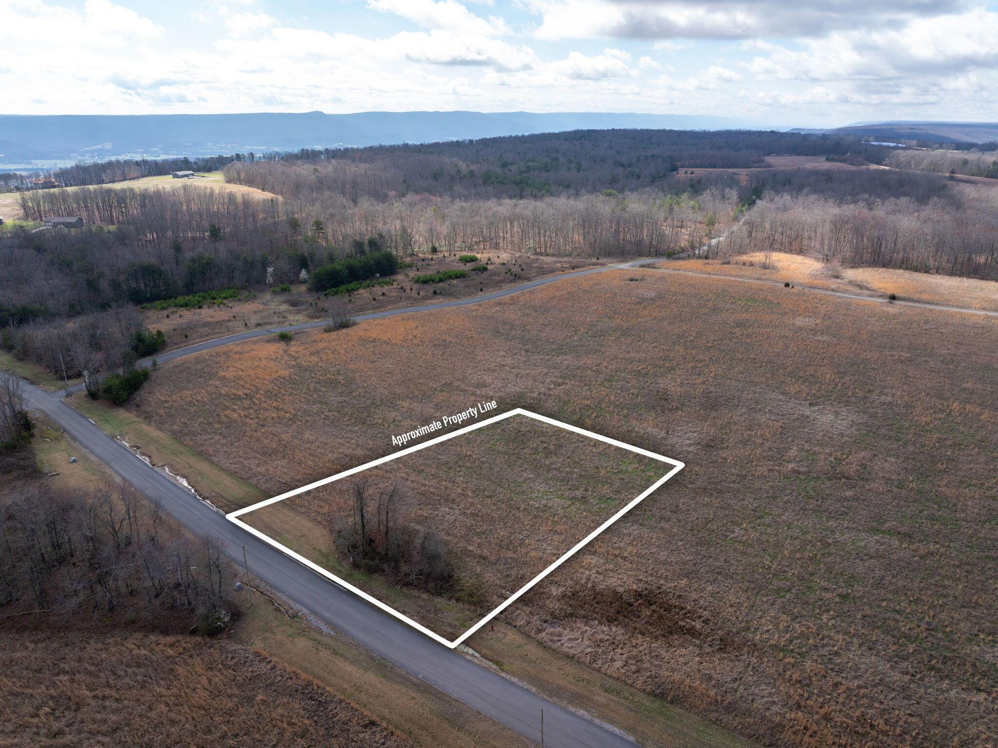 Image 1: 3-web-or-mls-DJI_20260309124627_0225_D-3