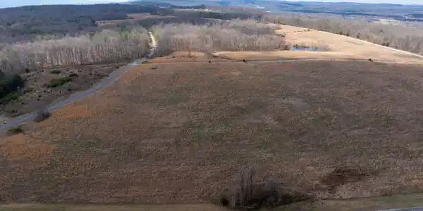 Image 3: 2-web-or-mls-DJI_20260309124613_0224_D-2