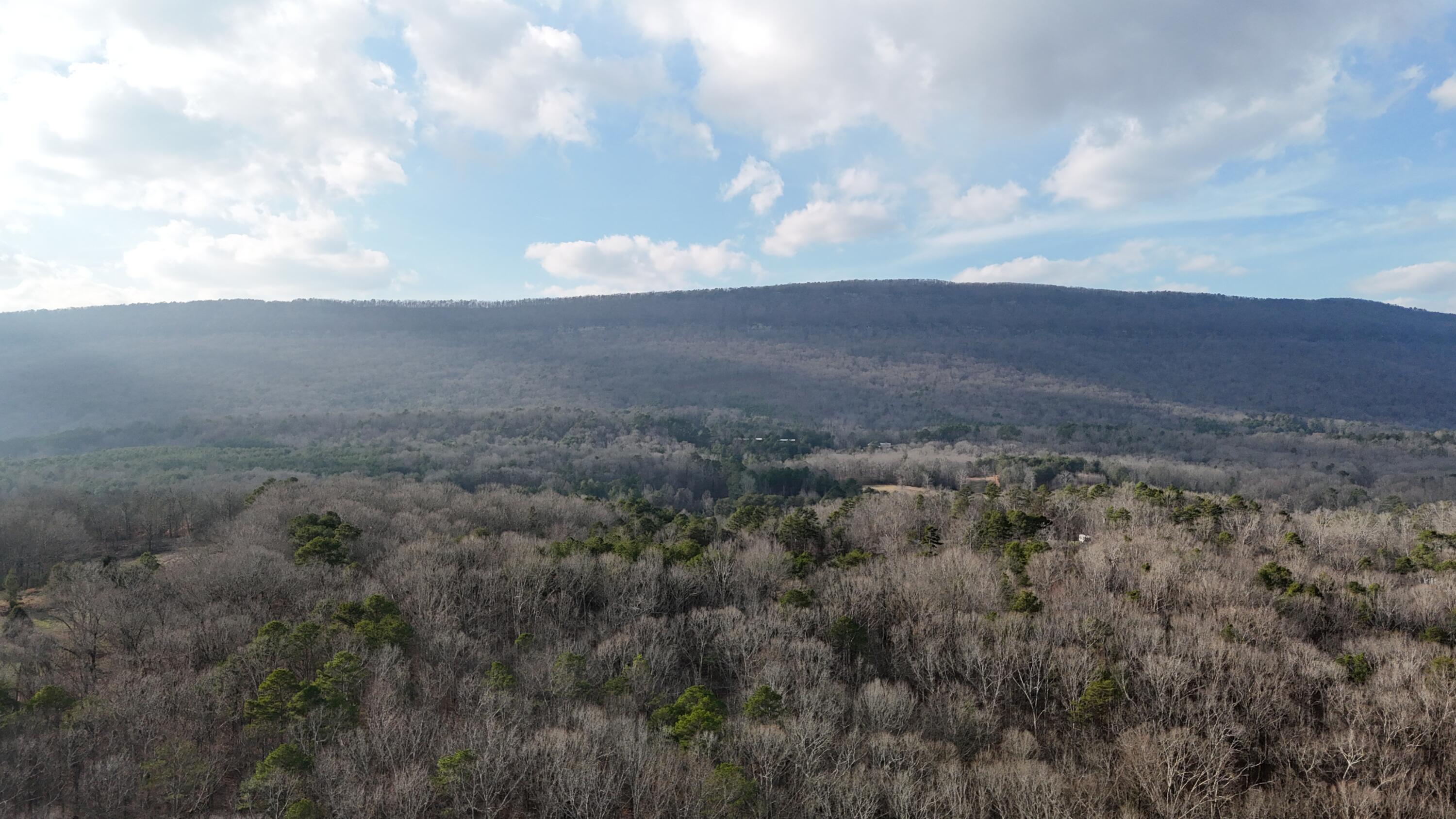 Image 2: dji_fly_20260107_154600_0005_17678248338