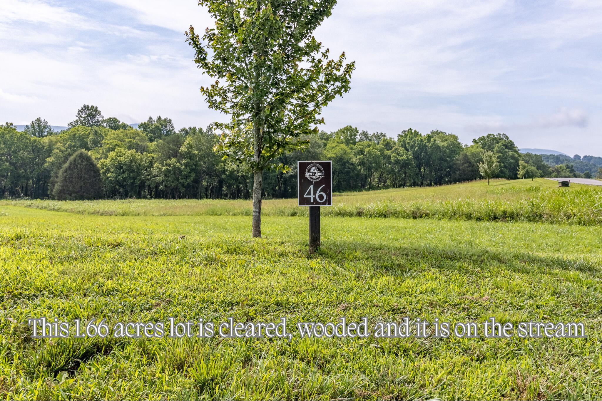 Image 2: Cleared wooded lot