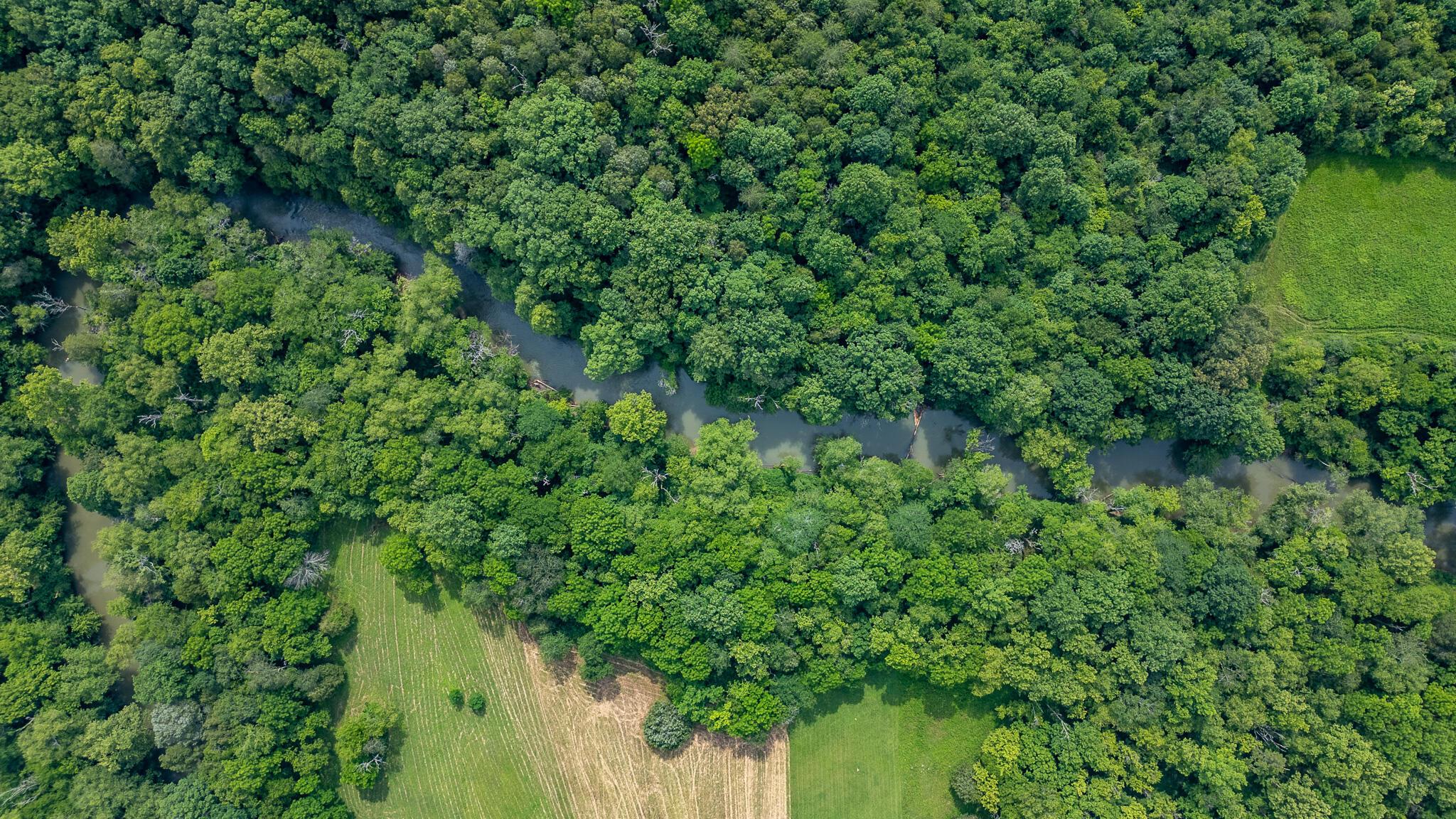 Image 4: Serene river views among trees