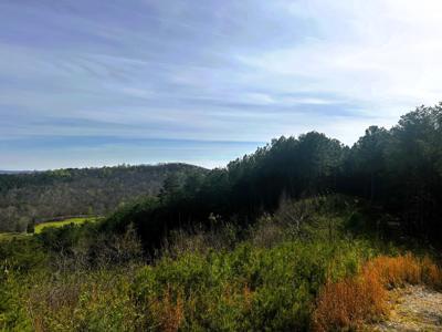 Tract 7 SW Owl Hollow Road