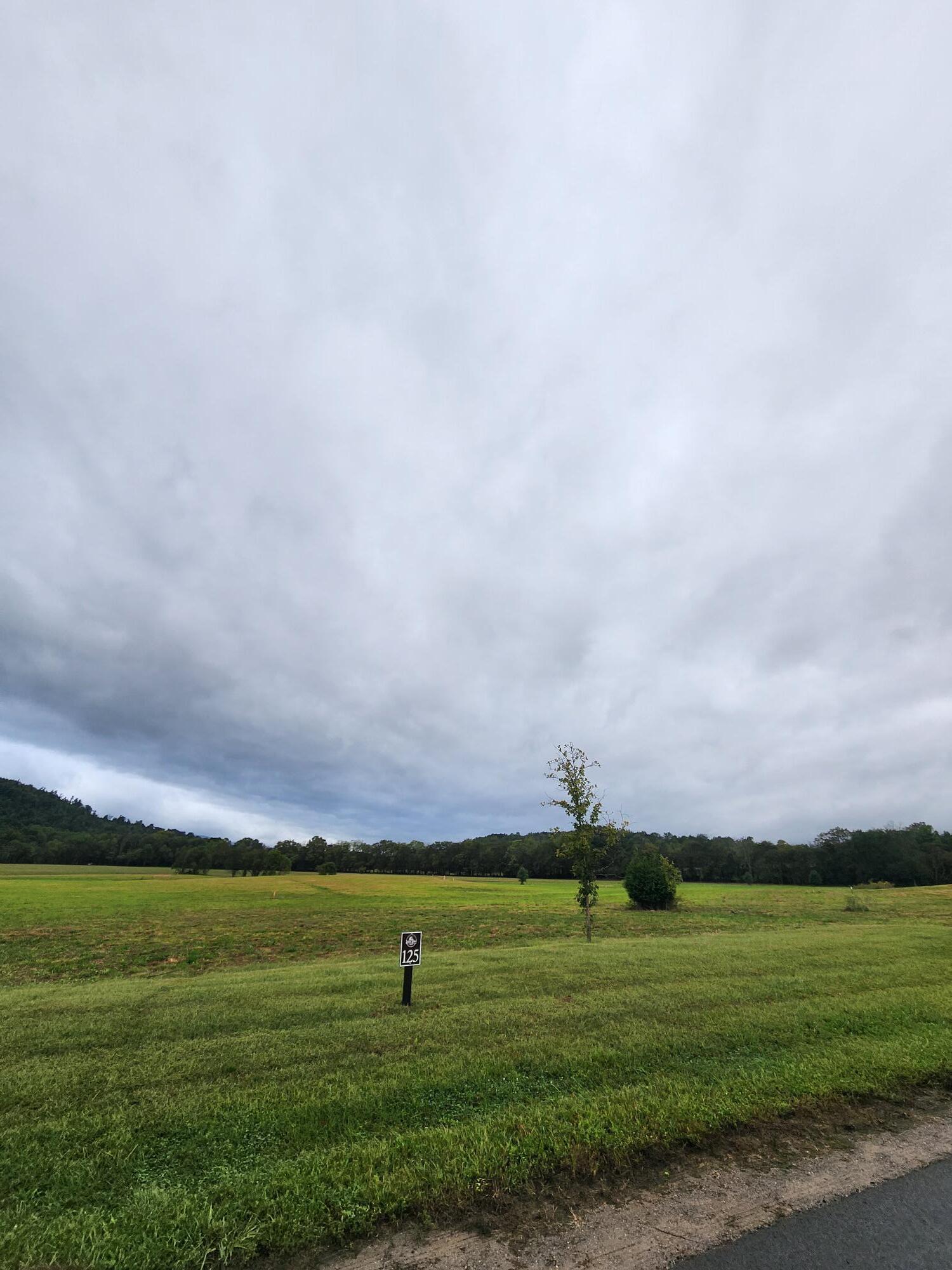 Image 2: Lot 125