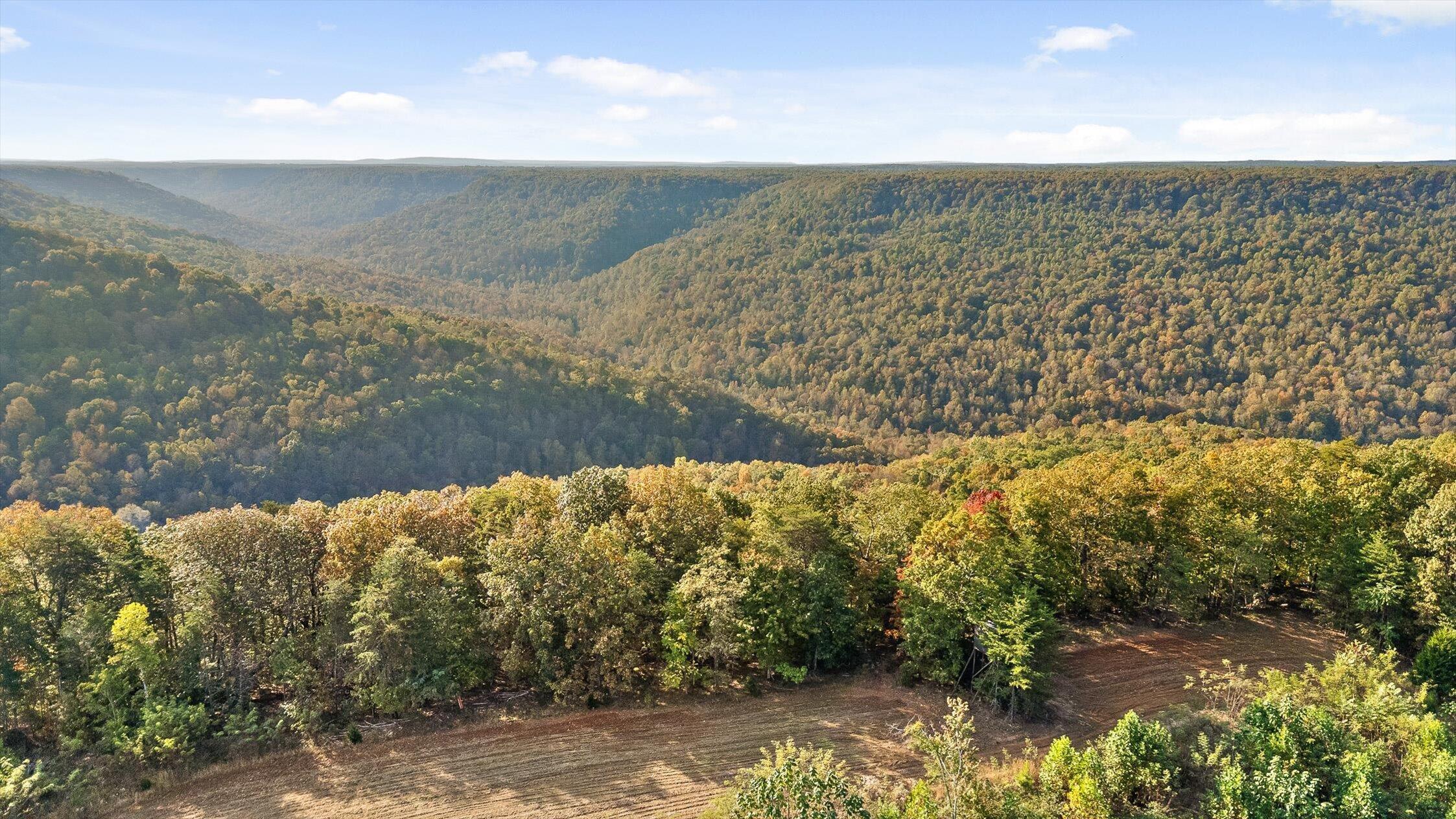 Image 2: Westview Road, Spencer, TN 38585