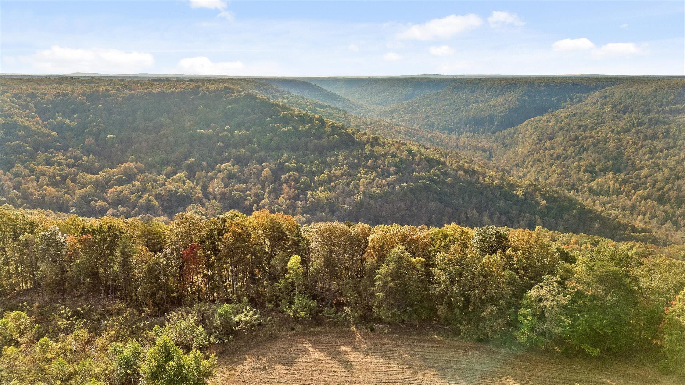 Image 3: Westview Road, Spencer, TN 38585