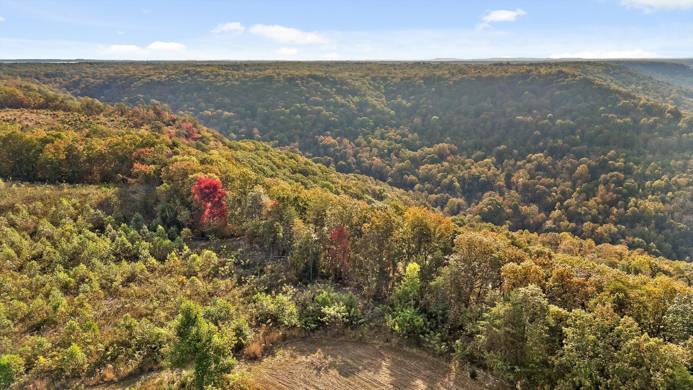 Image 4: Westview Road, Spencer, TN 38585