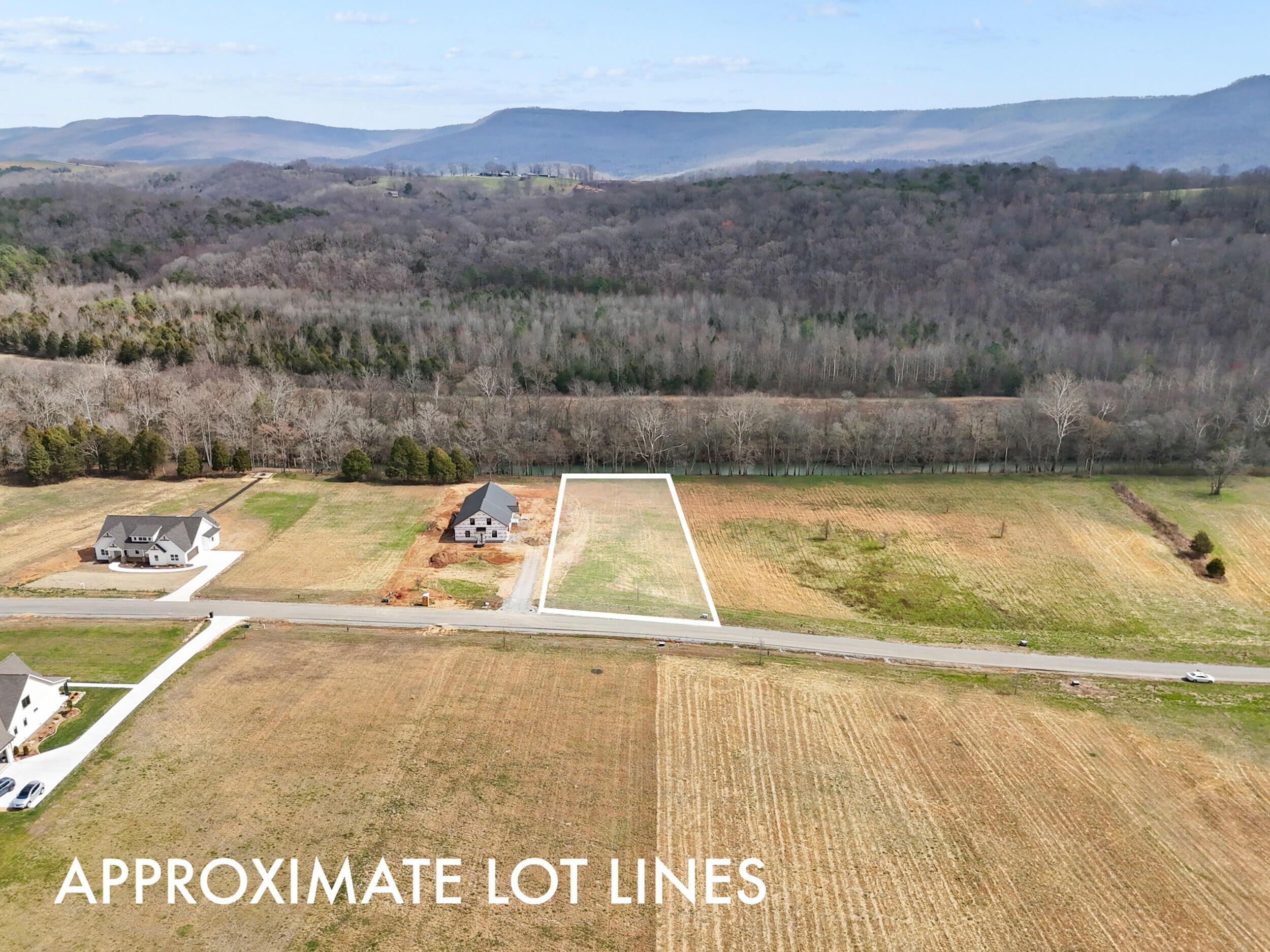 Image 1: Lot Lines