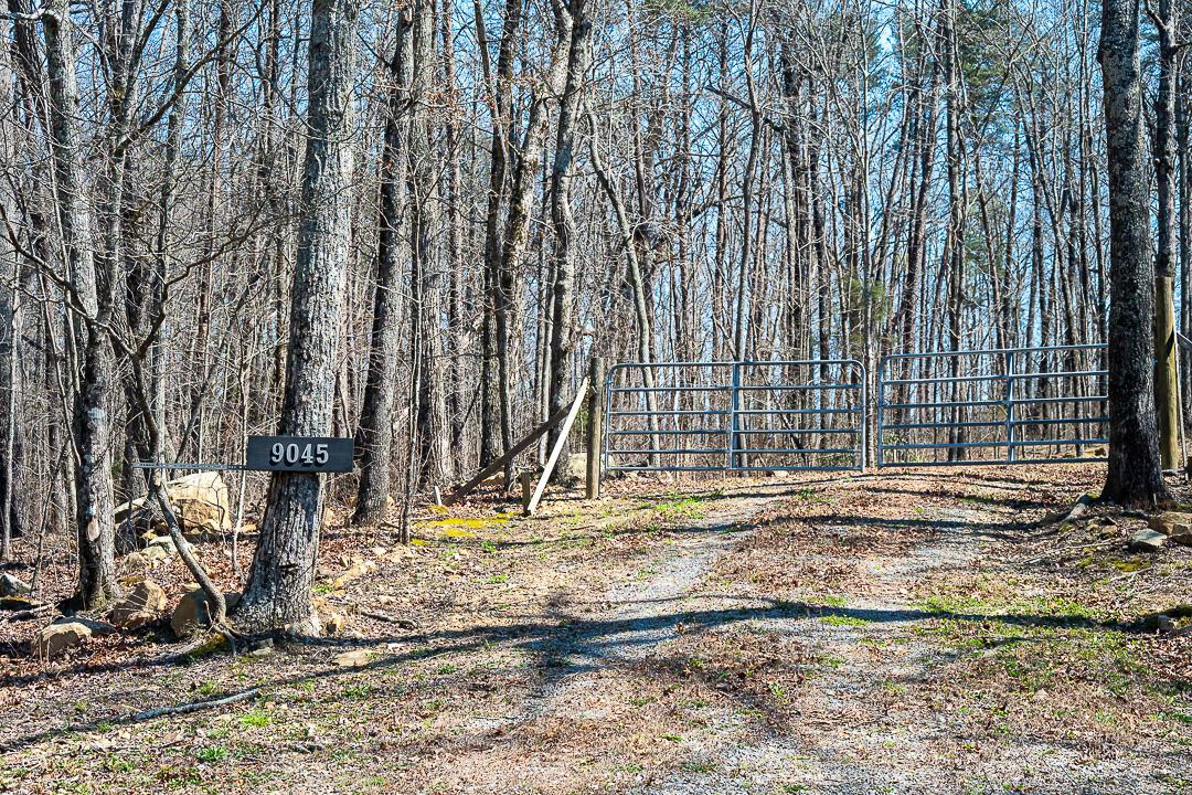 Image 4: GP Brow Lot-14