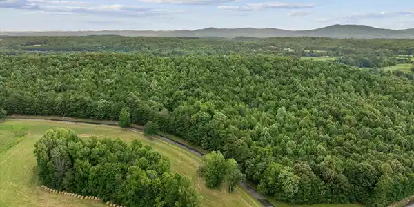 Image 3: 02-DJI_20260711144951_0885_D