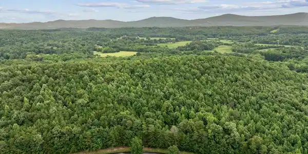 Image 3: 05-DJI_20260711145039_0900_D