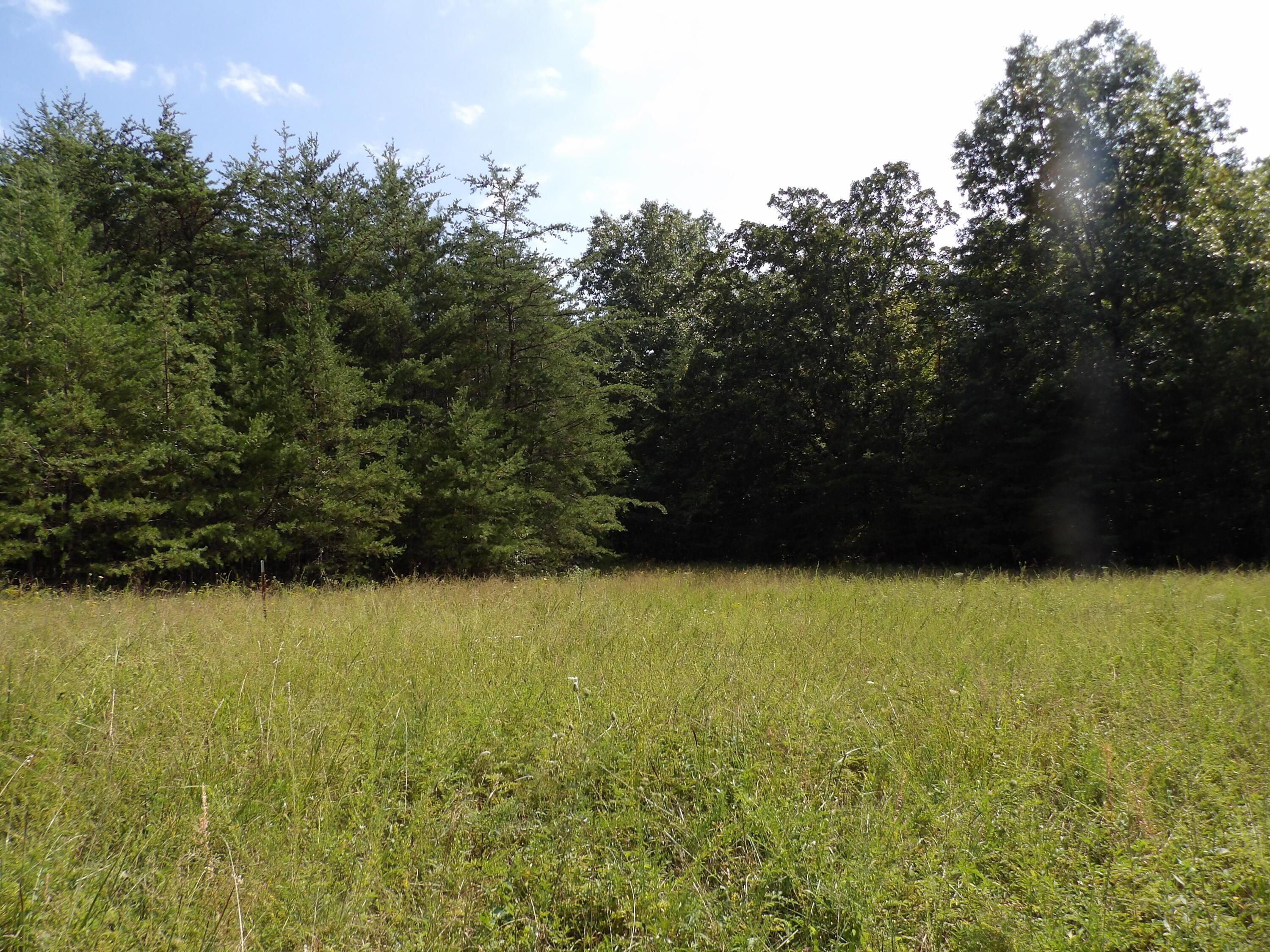 Image 4: 100_0765