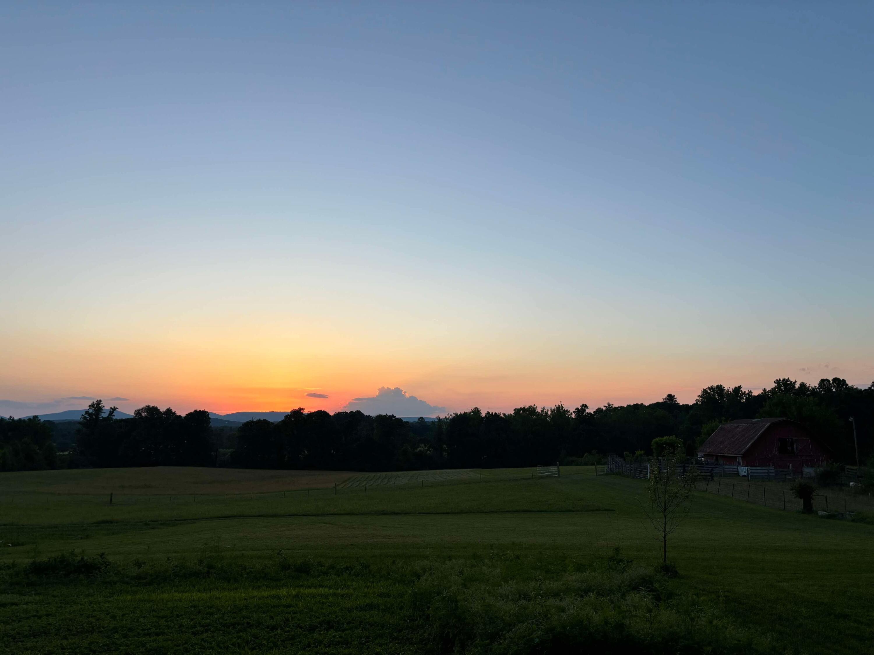 Image 3: Image-1 (3)