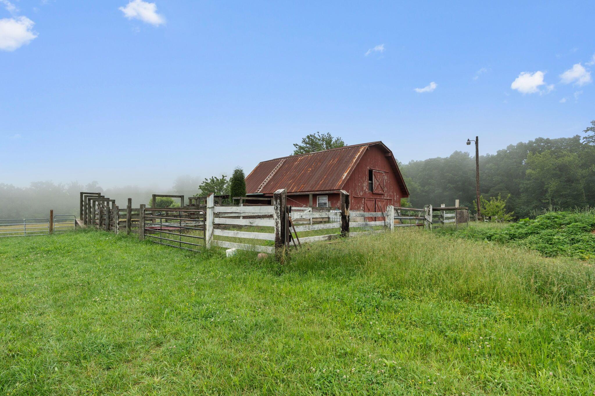 Image 4: 52-web-or-mls-517 Possom Trot-Tori Roger