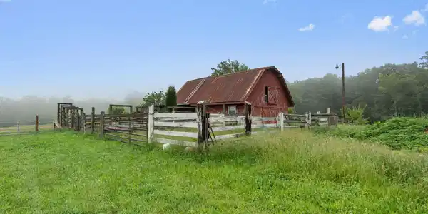Image 4: 52-web-or-mls-517 Possom Trot-Tori Roger