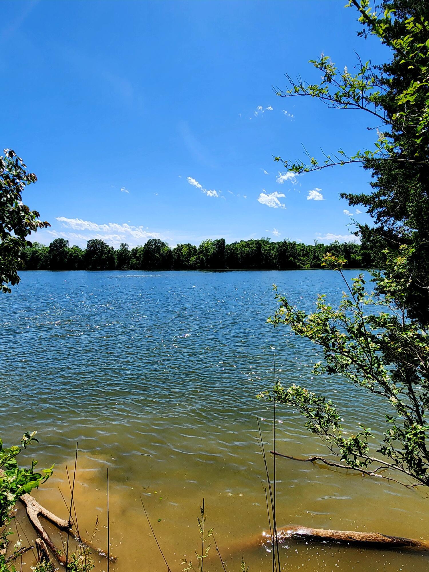 Image 1: 20250517_151815