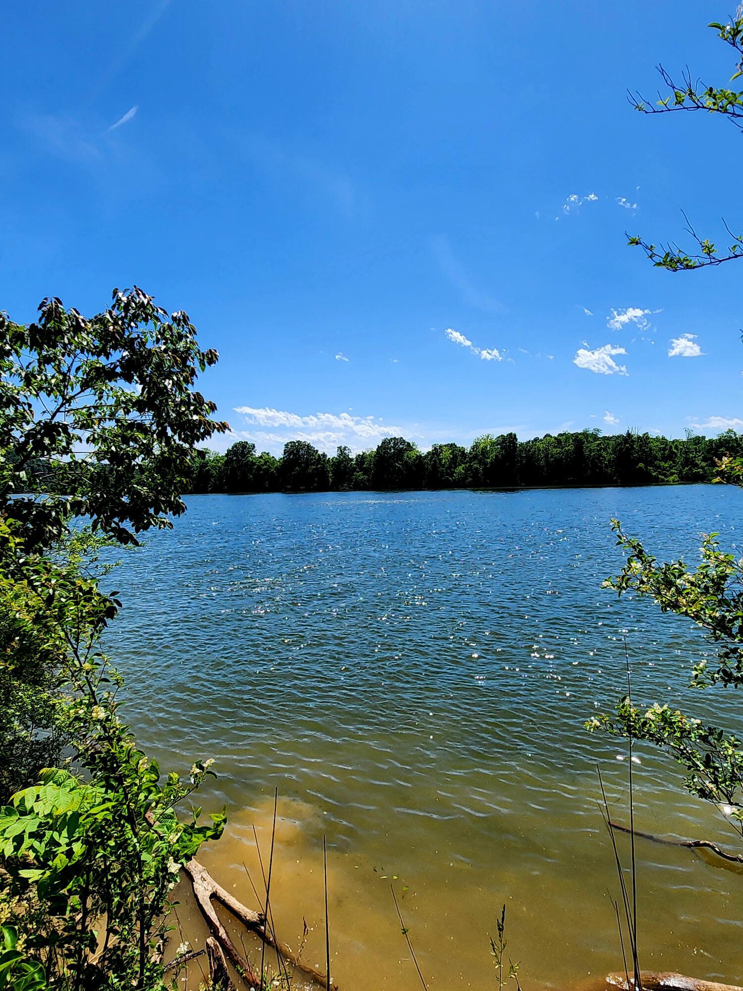 Image 2: 20250517_151818