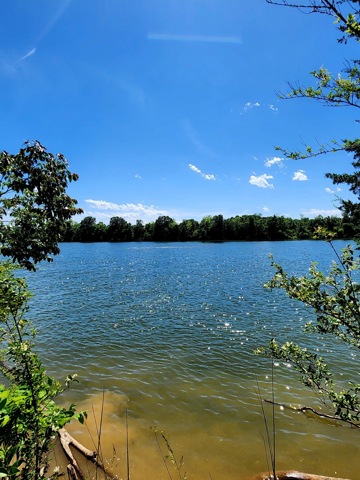 Image 3: 20250517_151820