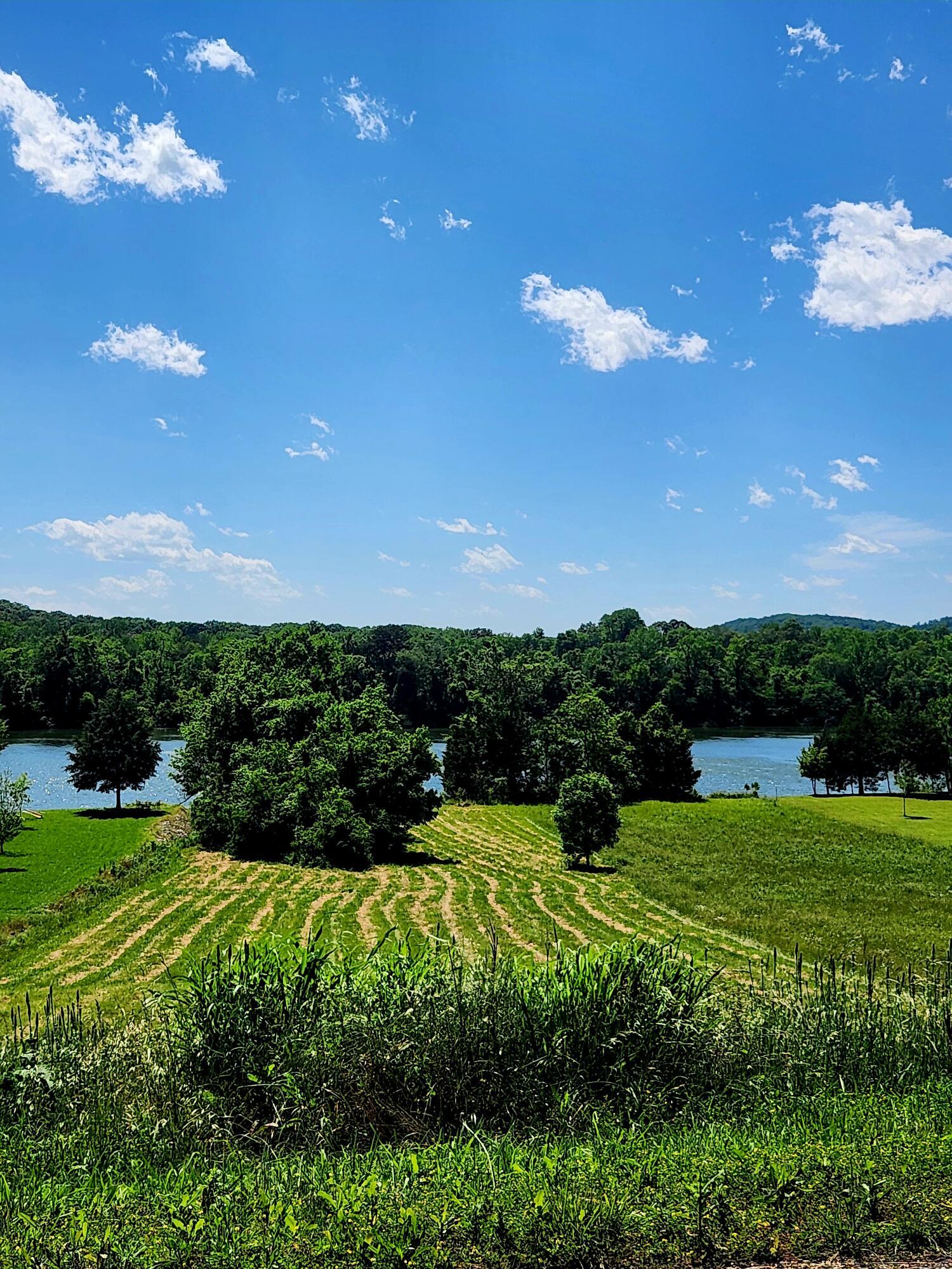 Image 4: 20250517_151323