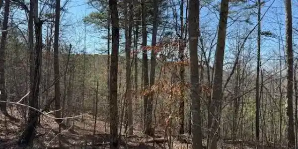 Tract 1 South Pittsburg Mountain