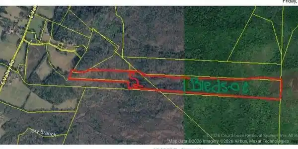 Image 2: Lewis 74 acres