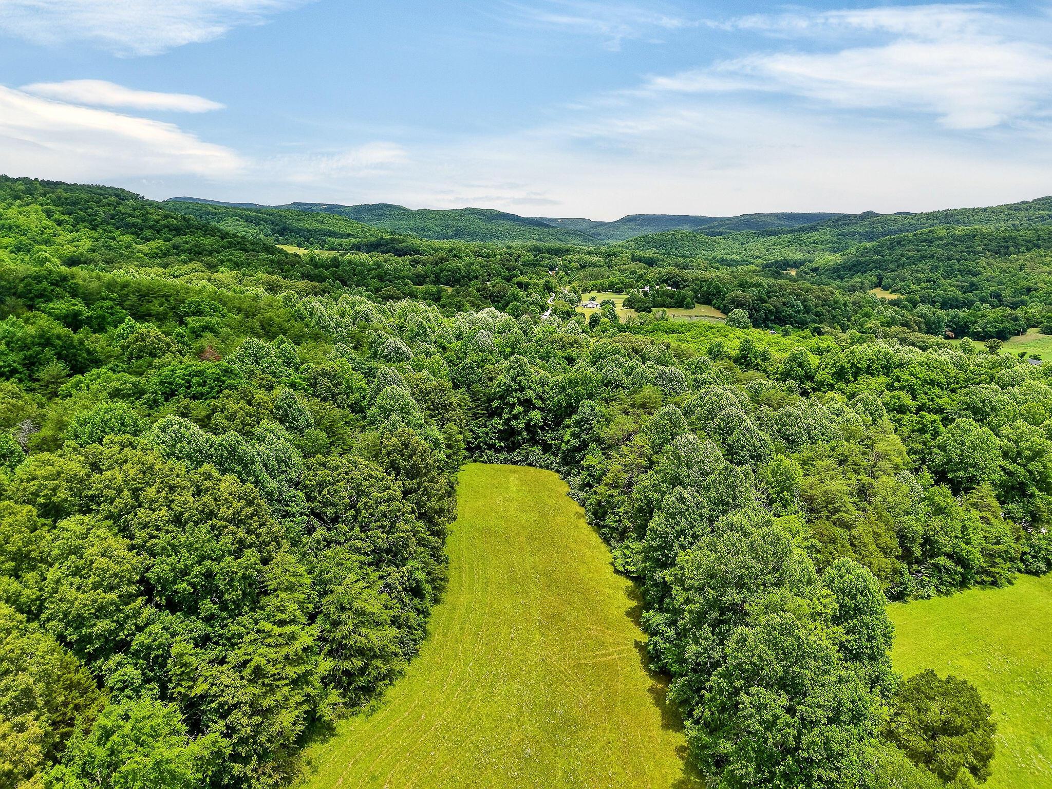 Image 2: DJI_20260615133048_0083_D