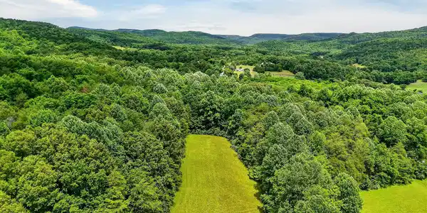 Image 2: DJI_20260615133048_0083_D