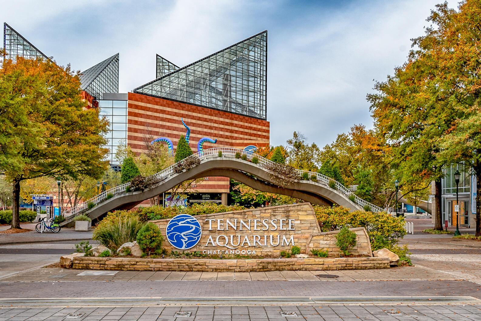 Image 4: Chattanooga Aquarium