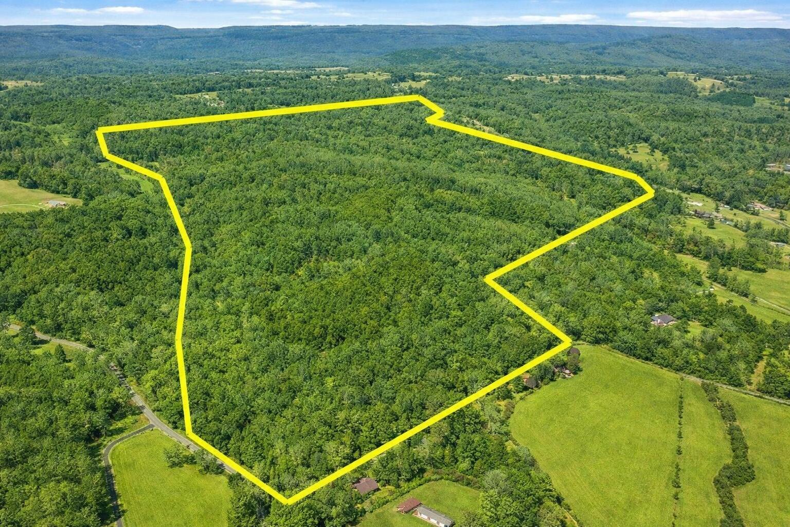 Image 2: Green with lines Pierce Hill