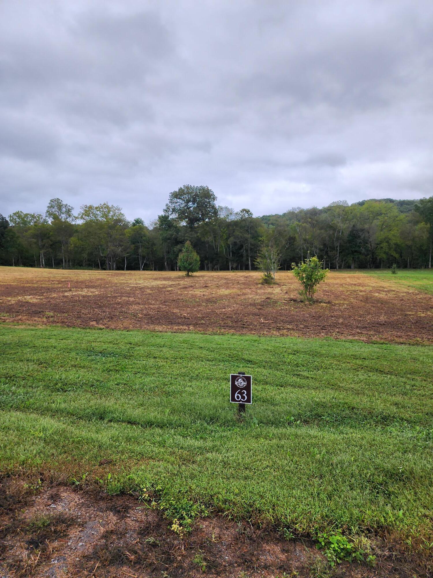Image 1: Lot 63 (3)