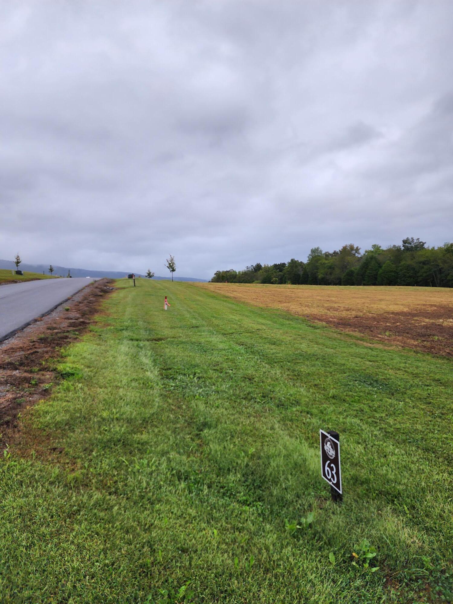 Image 2: Lot 63 (2)
