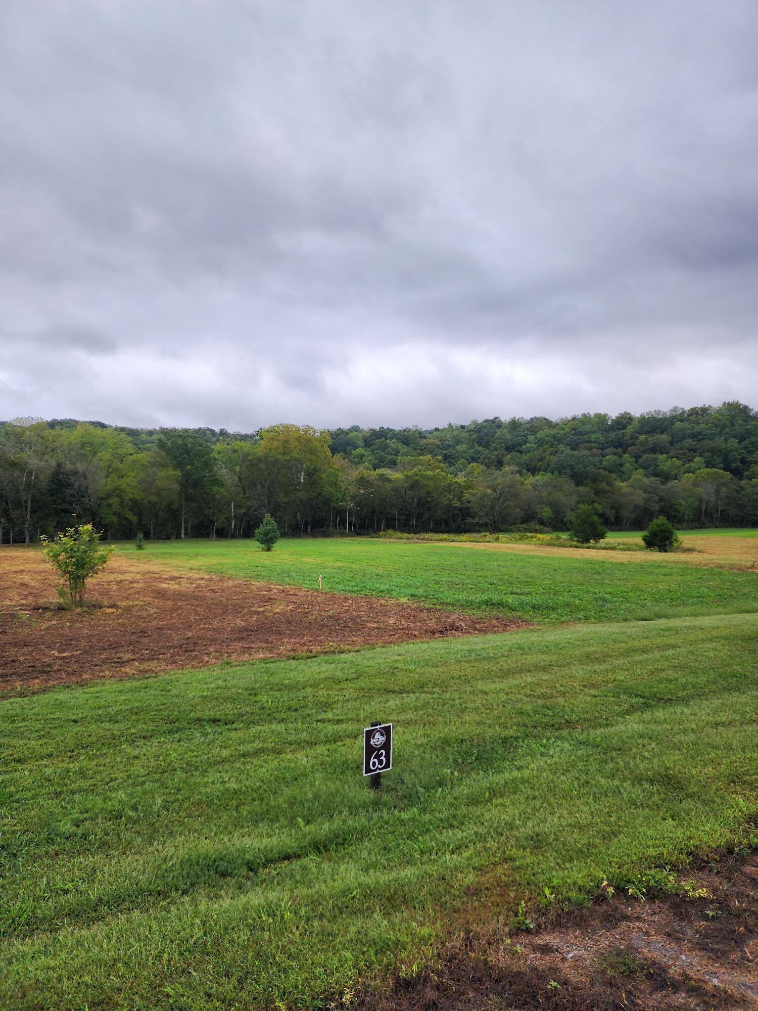 Image 3: Lot 63