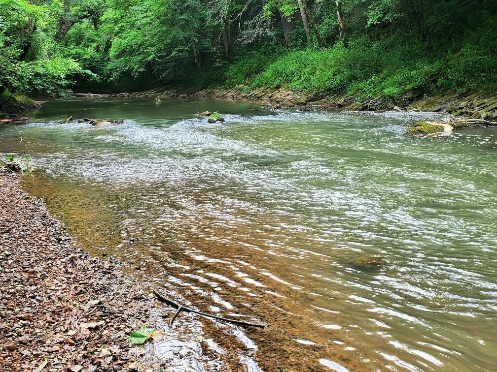 Image 4: 1 River