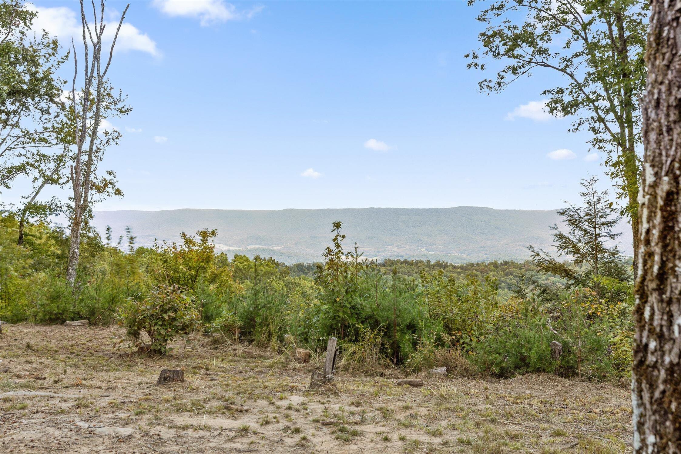 Image 4: 42-Maple-14